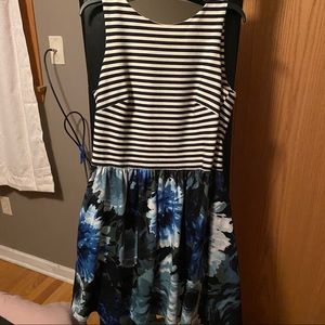 cb established 1962 dress floral striped dressbarn